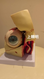 中醫眼針
